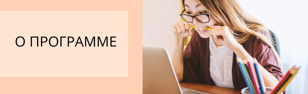 О программе