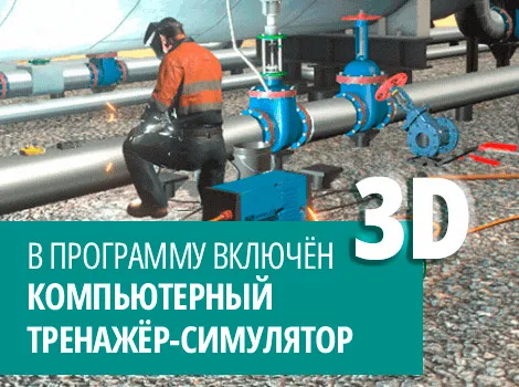 19756 Электрогазосварщик