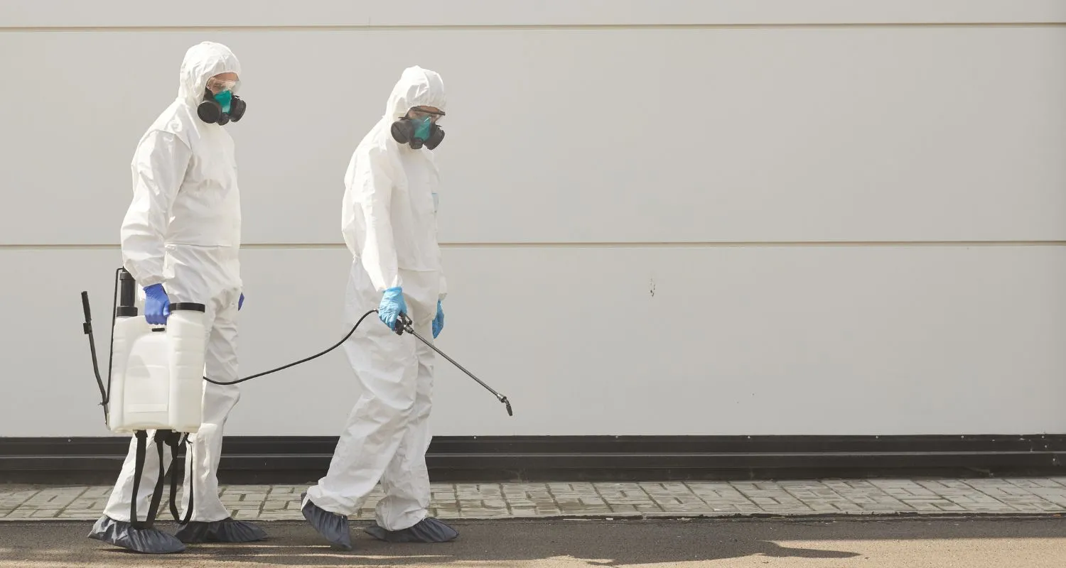 Дезинфекция, дезинсекция и дератизация