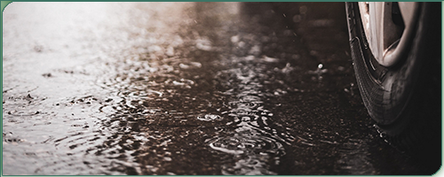 Zishitnoe vozhdenie.png